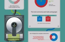 Infografika - Z czego zrobione są strony WWW