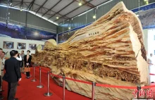 Największa wykonana z jednego kawałka drewna rzeźba świata