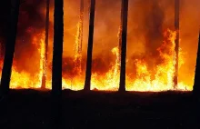 Australia: płoną lasy na południu kraju