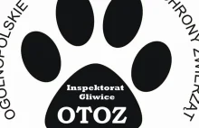 OTOZ Animals z Gliwic prosi o pomoc!