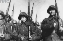 70 lat temu rozpoczęto formowanie 1 Dywizji Piechoty im. Tadeusza Kościuszki