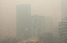 Australia dusi się po pożarach. "Żyjemy w morzu dymu i pyłu"