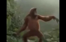 NEW Techno Dance Monkey