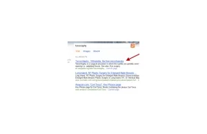 Google oskarża Bing o podkradanie wyników [ENG]