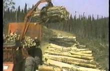 Jak równo ułożyć drewno na ciężarówce?