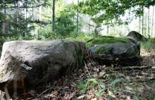 Szczecińscy archeolodzy odkryli budowle megalityczne