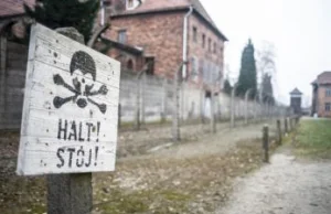 „Polskie obozy” w niemieckim dzienniku. Ambasada zapowiada interwencję