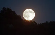!!! Już niedługo największa pełnia księżyca XXI wieku!