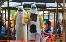 Epidemia eboli. W Gwinei wyleczono ostatniego pacjenta