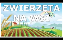 Zwierzęta na wsi - BrzdącTV