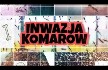 Inwazja komarów u Brzdąca. Piosenka o komarze...