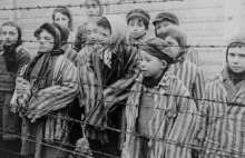 225 Żydów ocalałych z Holokaustu potępia masakry w Strefie Gazy. ENG