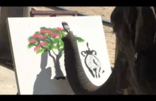 Słoń maluje oryginalne obrazy słoni