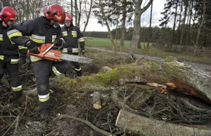 Silna wichura na Pomorzu: Zginęła jedna osoba, druga jest ranna