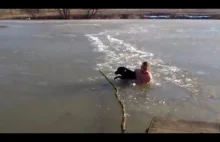 Człowiek-Lodołamacz ratuje swojego psa.