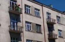 Pies wypadł z balkonu na trzecim piętrze w Kielcach. Nie przeżył (WIDEO