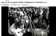 Dla prawdziwych smakoszy serów... Lody o smaku oscypka!!!