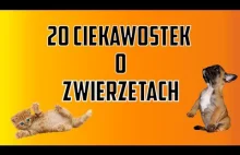 20 Ciekawostek o zwierzętach