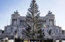 Włochy: Choinka w Rzymie wyschła przed świętami. Sprawą zajmie się trybunał