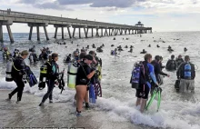 633 płetwonurków zeszło pod wodę na Florydzie -znaleziska robią wrażenie
