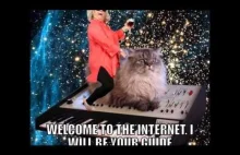 The Best of "Welcome to the Internet - I will be your guide"