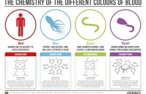 Chemia kolorów krwi