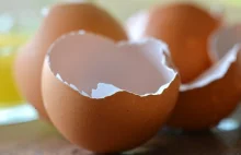 Skorupki z jajek są najlepiej przyswajalnym źródłem wapnia