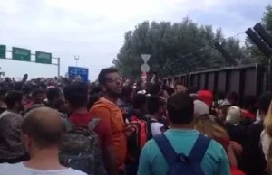 Uchodźcy rozpoczęli strajk głodowy na serbsko-węgierskiej granicy