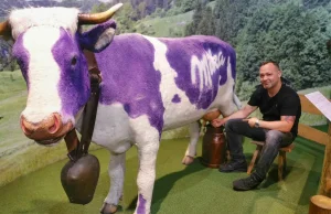 Wizyta u fioletowej krowy, czyli jak powstaje Milka...