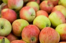 Polskie jabłka wycofane ze sklepów. 8-krotnie przekroczyły normę pestycydów