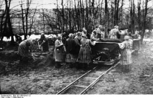 Piekło żeńskiego obozu koncentracyjnego - więźniarki z Ravensbrück