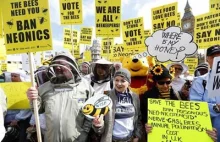 Komisja Europejska ukrywa naukę o pszczołach