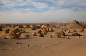 Wadi al-Hitan - dolina Waleni