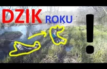 DZIK ROKU ! Czyli Enduro w BAGNIE!