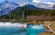 Rezerwat Zelenci - najbardziej instagramowe miejsce w Słowenii
