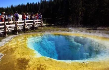 Wszedł do gorących źródeł Yellowstone, ciało rozpuściło się w ciągu doby.