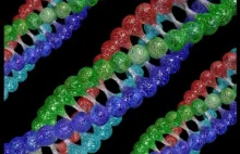 Teoria Darwina w opałach - w ludzkim genomie odnaleziono obce DNA