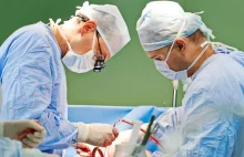 Transplantacje w Polsce: Narządów nie pobiera się od żywych