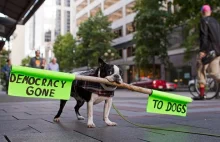 Najlepsze i najciekawsze transparenty z protestów 2011 [FOTO]