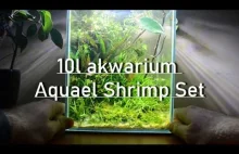Akwarium, aquael shrimp set 10l