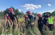 Cudem uratowana! Odnaleziono zaginioną 80-latkę z Ostrowa Wielkopolskiego...