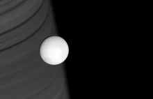 Zdjęcia Enceladusa z sondy Cassini