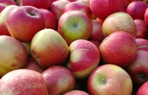Rosja wprowadza zakaz importu jabłek z Białorusi. Nakryła reeksport z Polski.