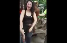 Bezczelny orangutan łapiący kobietę za biust podczas pozowania do zdjęcia