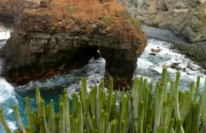 Teneryfa, Puerto de la Cruz, gdzie warto na spacer?