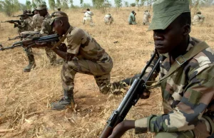 Kolejny kraj wyśle żołnierzy do walki z Boko Haram