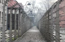 Ile lat więzienia za "polskie obozy śmierci"?