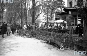 A przed wojną na Plantach też był tu lokal. Koniec kultowej kawiarni w Krakowie