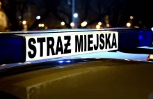 Strażnicy miejscy „na oko” stwierdzili złe parkowanie. Teraz to im grozi kara