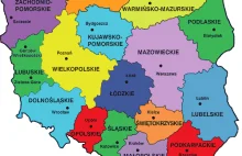 Dolnośląskie guruje w statystykach w wykrywaniu niewielkiej ilości narkotyków!